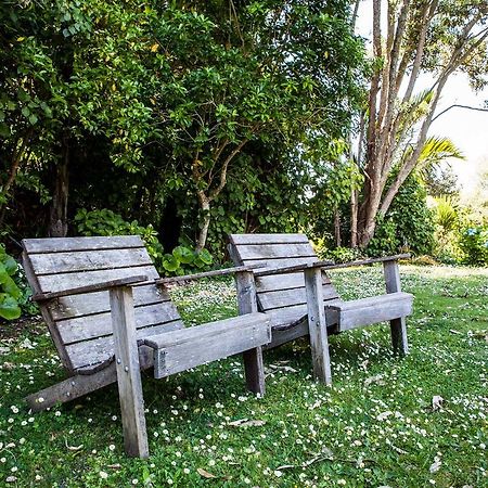 Amongst The Nikau Villa Waihi Kültér fotó