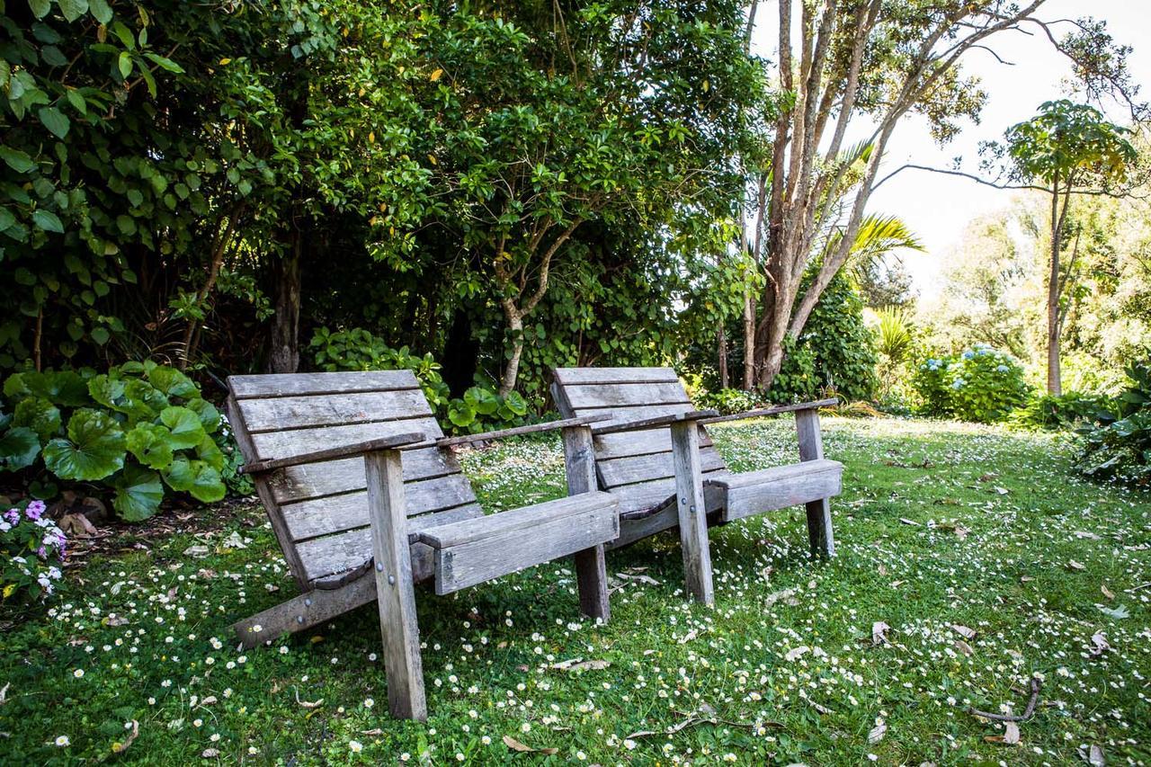 Amongst The Nikau Villa Waihi Kültér fotó